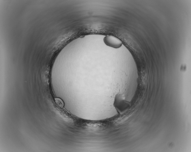 X0000093520450200710261223