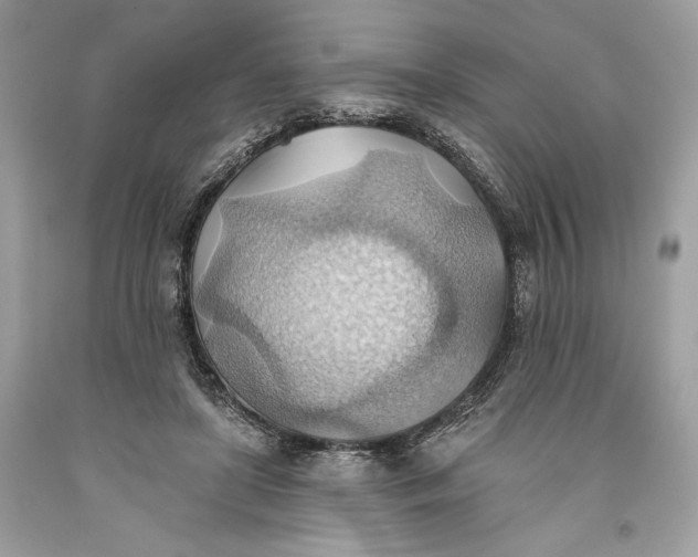 X0000093520451200710261223