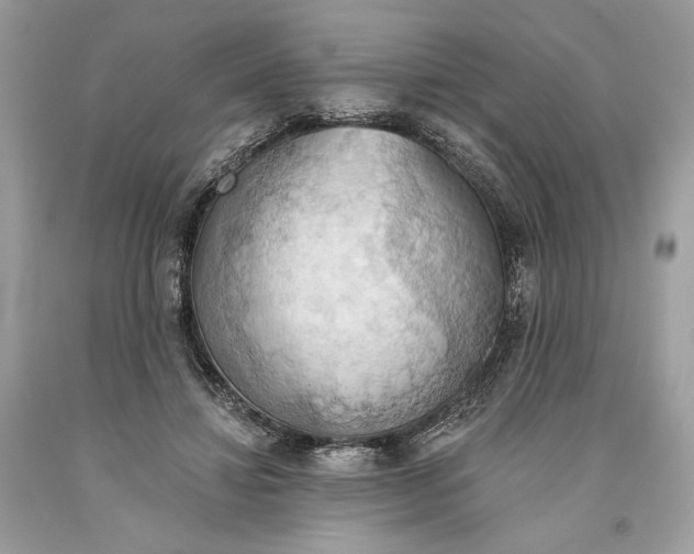 X0000093520452200710261223