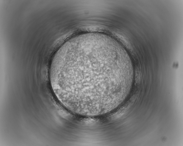 X0000093520453200710261223