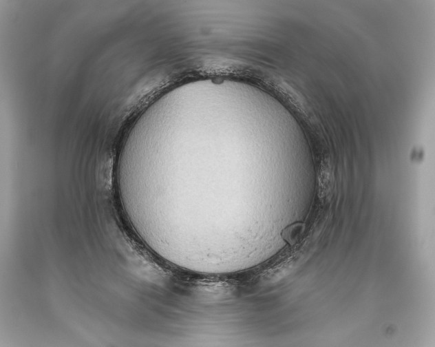 X0000093520454200710261223