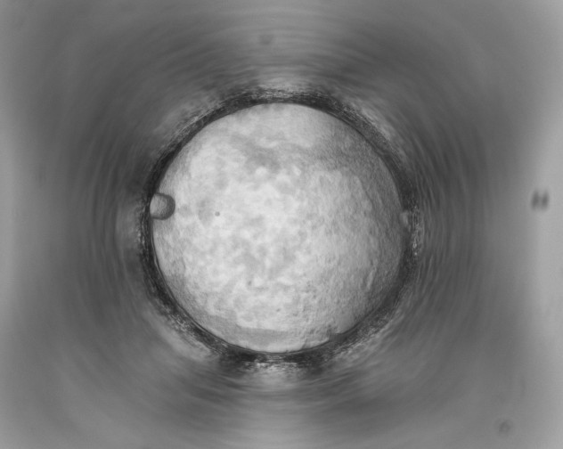 X0000093520455200710261223