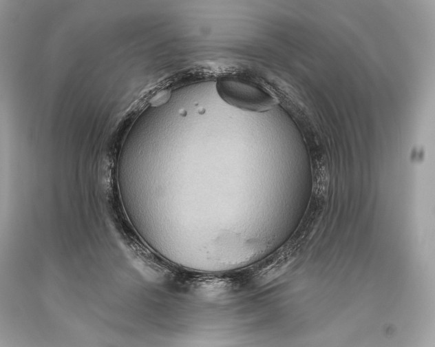 X0000093520456200710261223