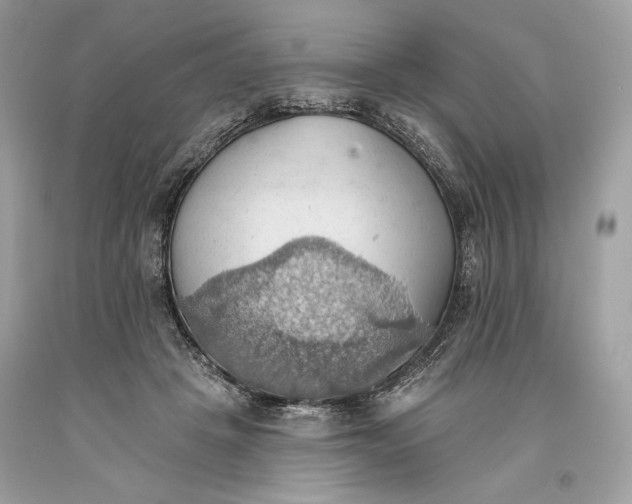 X0000093520457200710261223