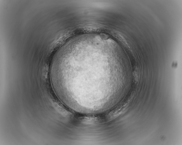 X0000093520458200710261223