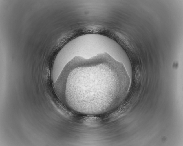 X0000093520459200710261223