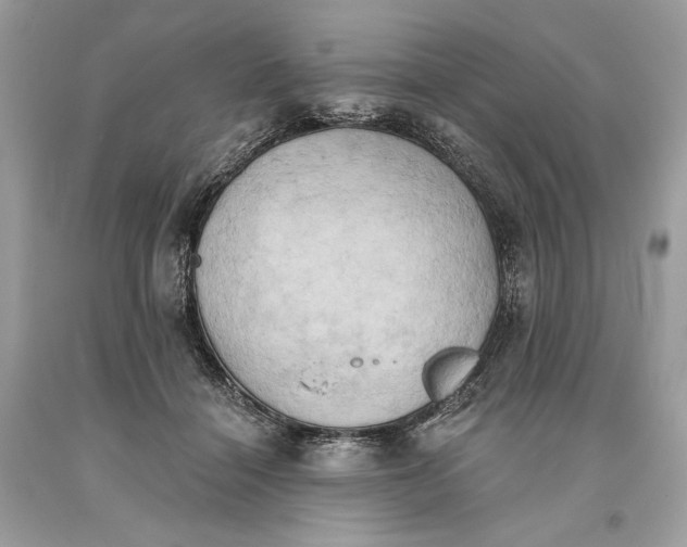 X0000093520460200710261223