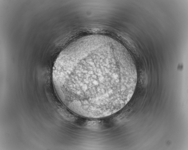 X0000093520461200710261223