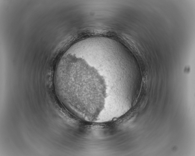 X0000093520462200710261223