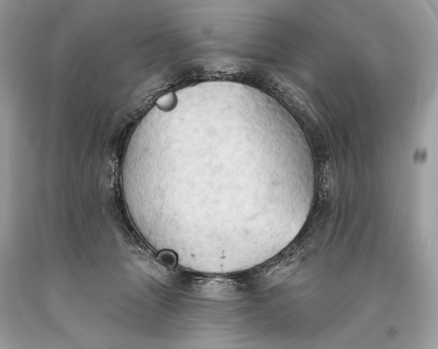 X0000093520463200710261223