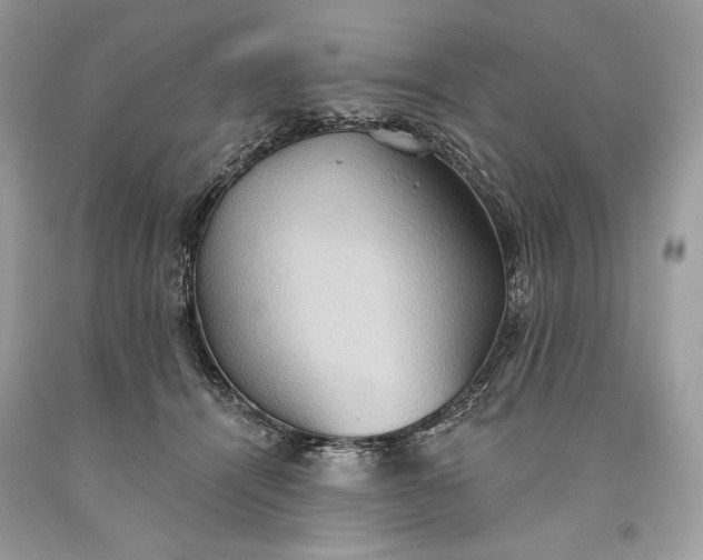 X0000093520464200710261223