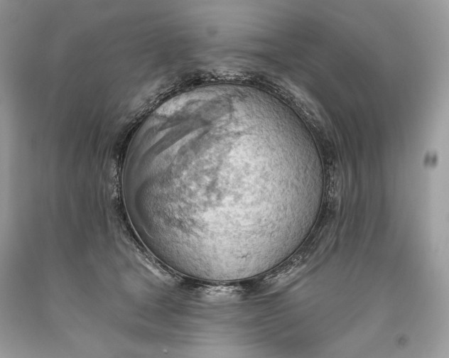 X0000093520465200710261223