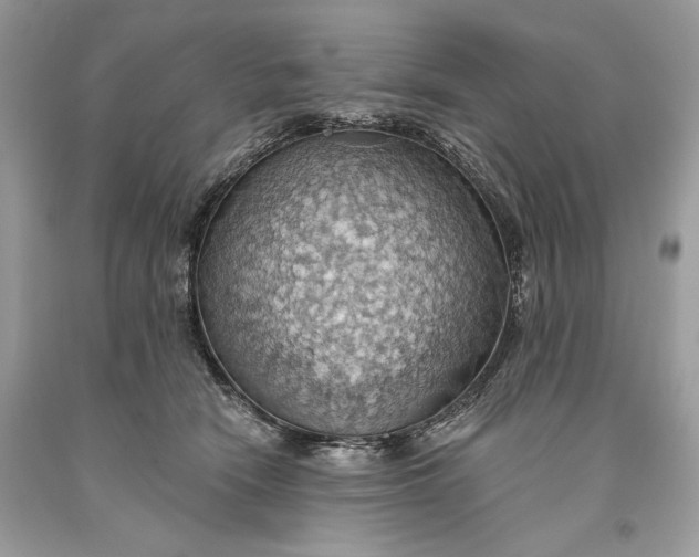 X0000093520466200710261223