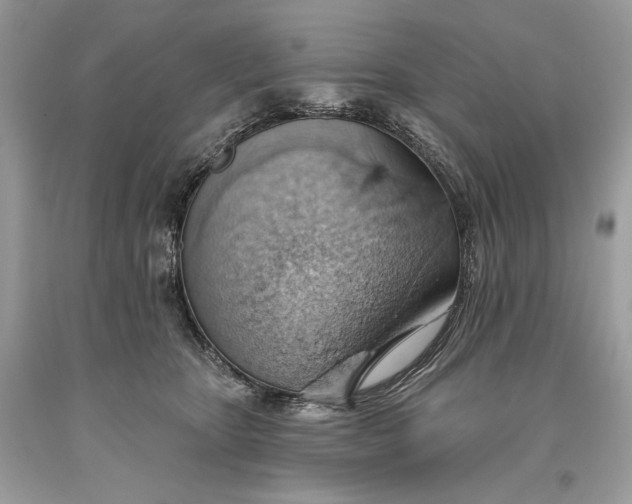 X0000093520467200710261223