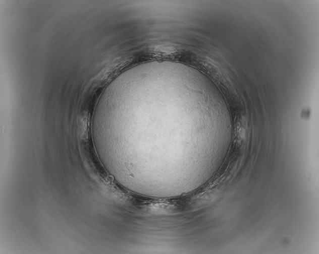 X0000093520468200710261223