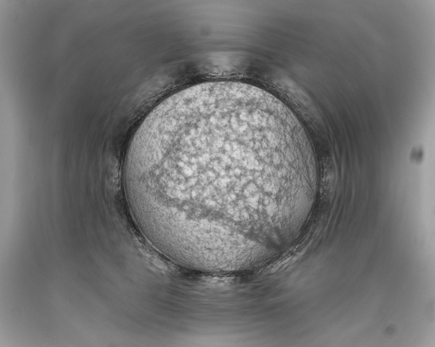 X0000093520469200710261223