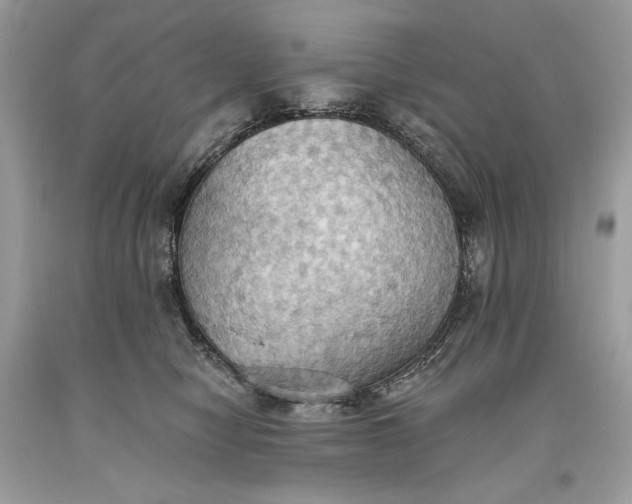 X0000093520470200710261223