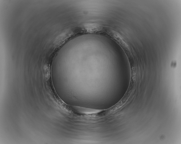 X0000093520471200710261223