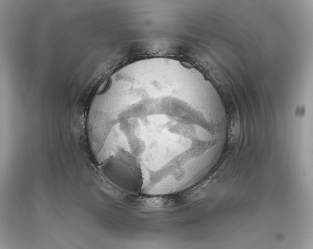 X0000093520473200710261223