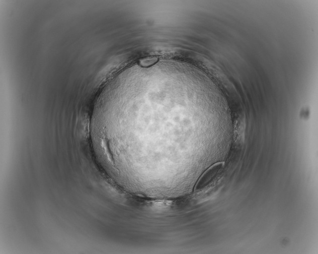 X0000093520474200710261223