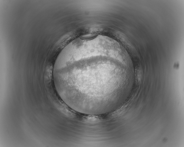 X0000093520475200710261223