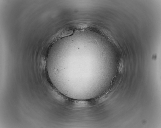 X0000093520476200710261223