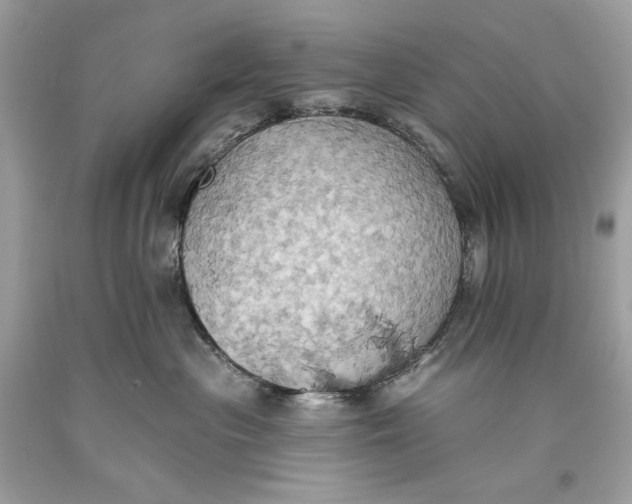 X0000093520477200710261223