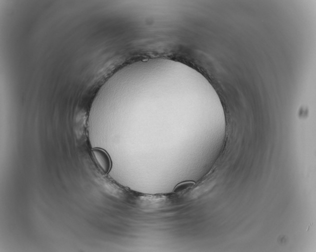 X0000093520480200710261223