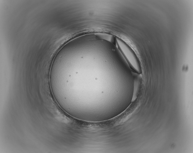 X0000093520481200710261223