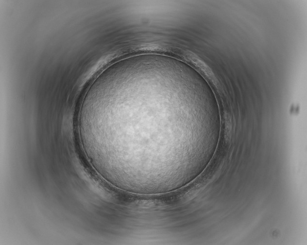 X0000093520482200710261223