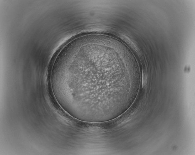 X0000093520483200710261223