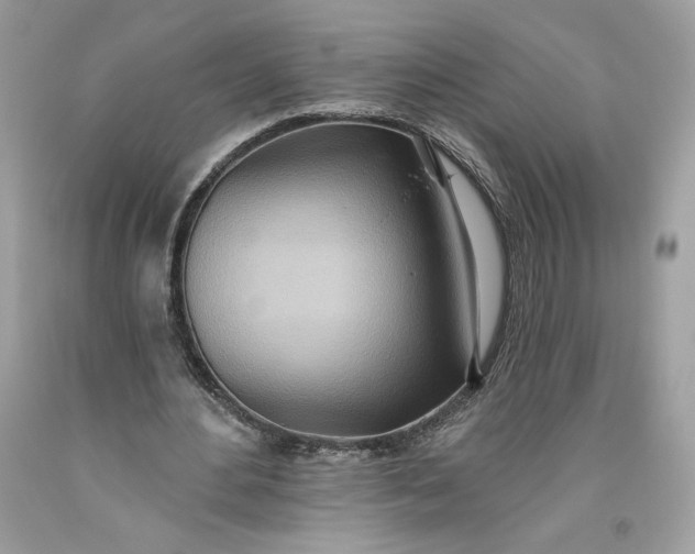 X0000093520484200710261223