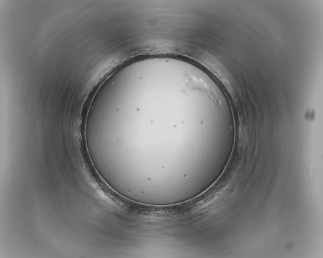 X0000093520485200710261223