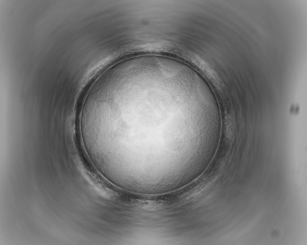 X0000093520486200710261223