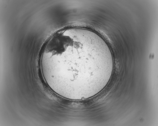 X0000093520487200710261223