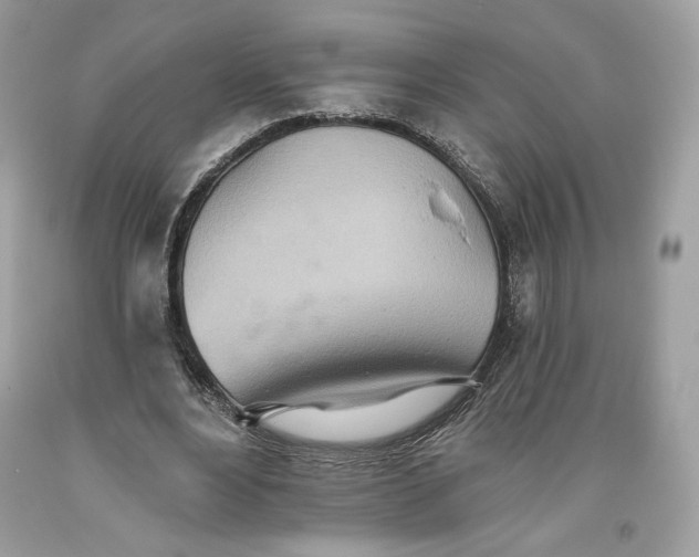 X0000093520488200710261223