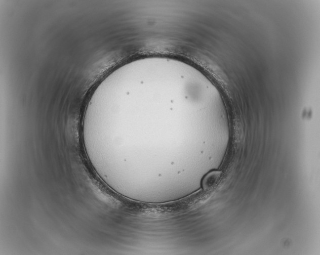 X0000093520489200710261223