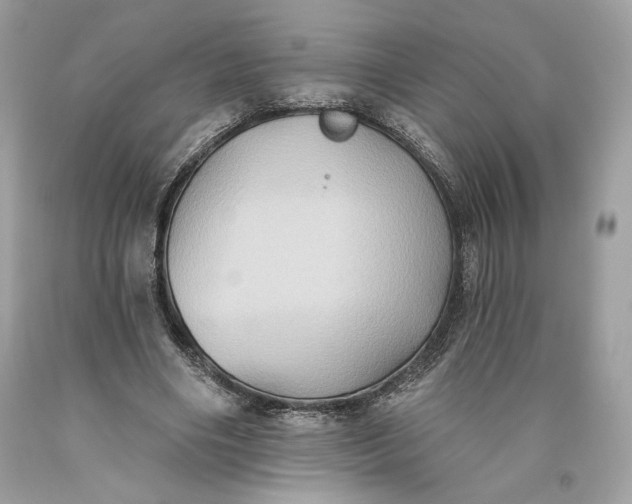 X0000093520490200710261223