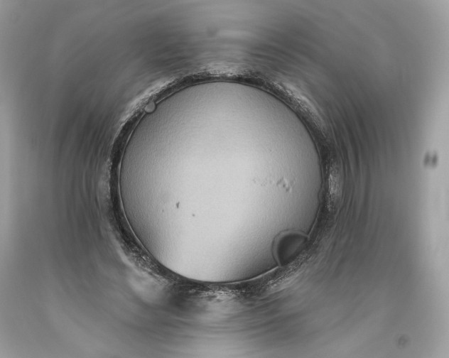 X0000093520492200710261223