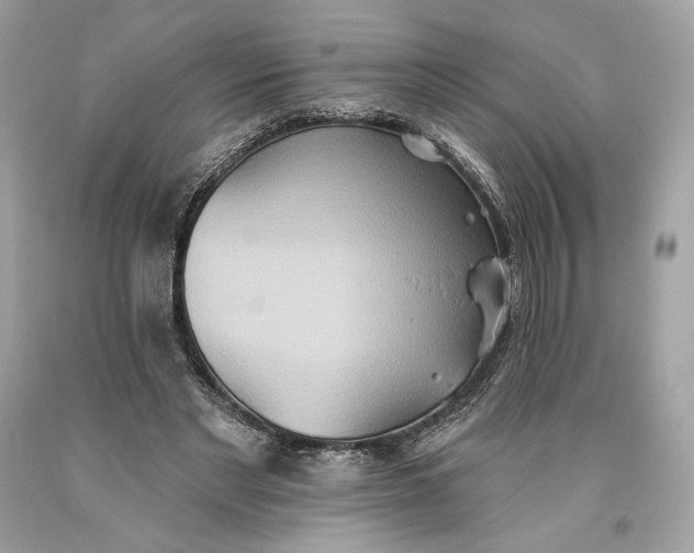 X0000093520493200710261223