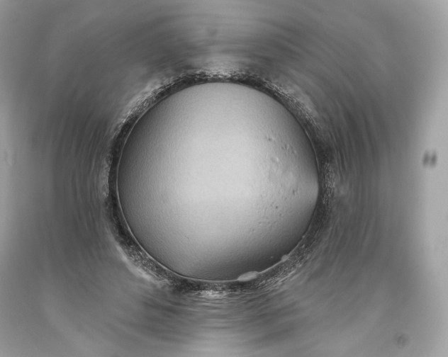 X0000093520496200710261222