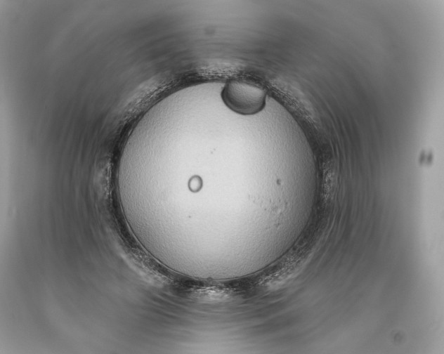 X0000093520498200710261222