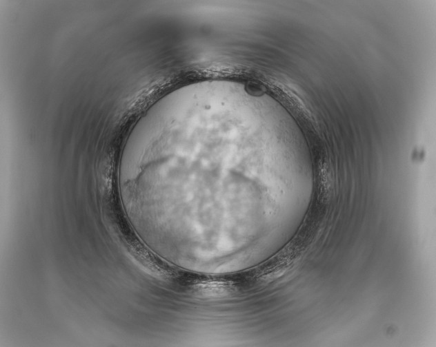 X0000093520499200710261222