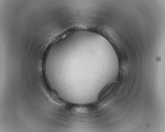 X0000093520500200710261222