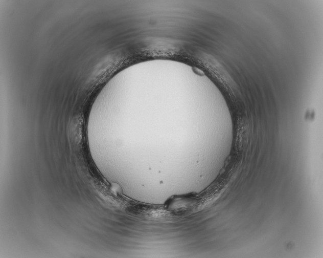 X0000093520501200710261222