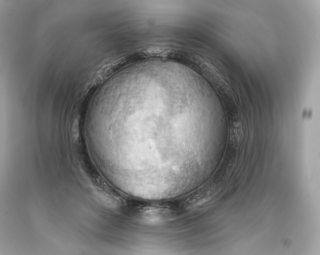 X0000093520504200710261222