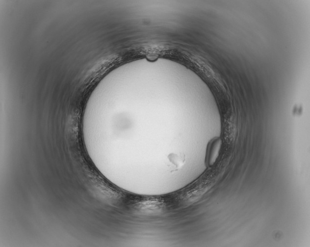 X0000093520505200710261222