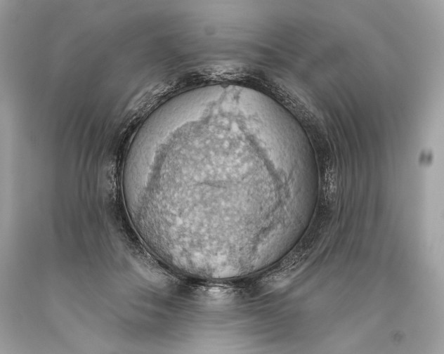 X0000093520506200710261222