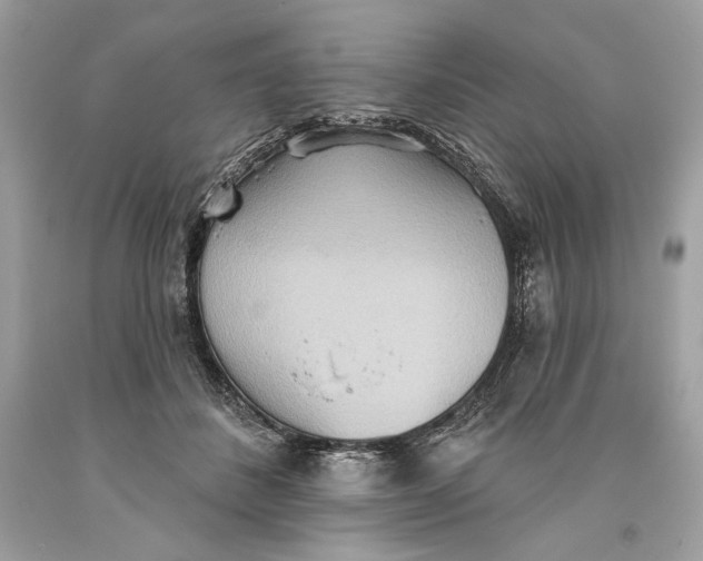 X0000093520508200710261222