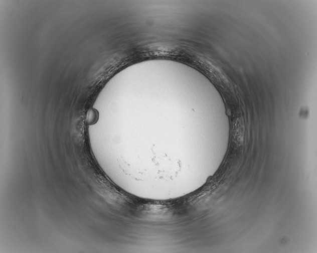 X0000093520509200710261222